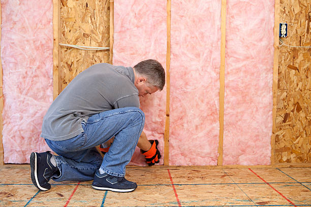 Best Wall Insulation Contractor  in Fairfield, TX
